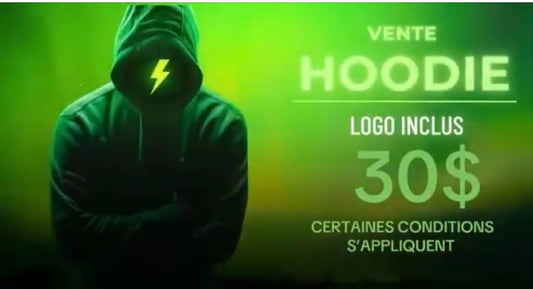 Promo Hoodie Gildan Heavy Blend 30$